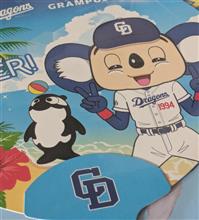 中日ドラゴンズ vs 阪神タイガース