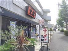 大桜11。