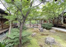 今回の京都ではここに