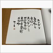 超強化行動