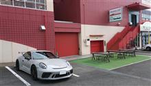 911と遊ぶ　ナマズとランチュウ