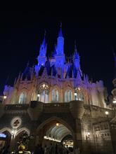 夏休みのディズニー遠征の疲労も回復してきました（２日目）ｗ