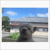 台風10号さらに接近中?➰🌀