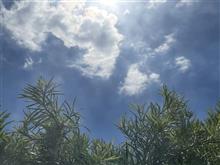 変なお天気