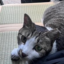 なんか脇腹にかけて生暖かく｡｡｡？