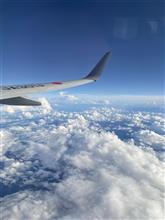 東京1年と294日目