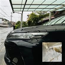 荒れた天気の木曜日を迎えました（ ;  ; ）