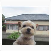 早くも８月最終日
