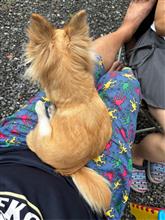 ぼーっとしている...
