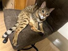 バリバリバリバリ