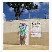 夏休みを振り返って