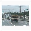 トラックの荷台が竹林なの(笑
