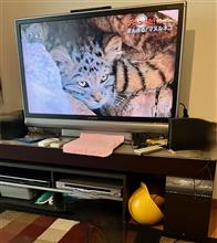 TV買い替えとセットアップ