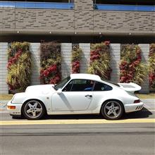 ボクのRUF（シングルターボの軌跡）