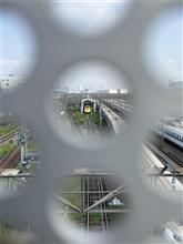 東京1年と304日目