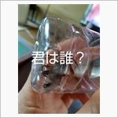 また捕獲