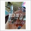 また捕獲