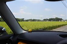 栃木の梨とミーティング