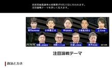 政治家って出来ないことを自信満々に