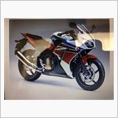 CBR250Rオークション落 ...
