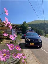四国カルスト「大野ケ原」ツーリング🚗💨😆 四国カルスト「大野ケ原」ツーリング🚗💨😆