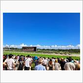 数十年ぶりの中山競馬場😄