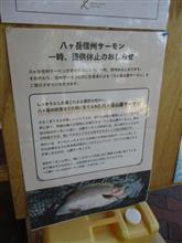 サーモン不足