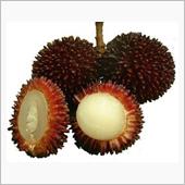 Pulasan.（プラサン）