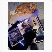 今更ながらPS4を購入　ニー ...