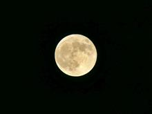 今宵はコーンムーン🌕