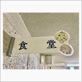 信州ポークみそ焼定食とみそラ ...