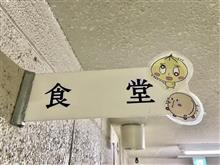 信州ポークみそ焼定食とみそラーメン　須坂市役所地下食堂（たけちゃん食品）