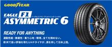 みんカラ：モニターキャンペーン【イーグルF1アシメトリック6】