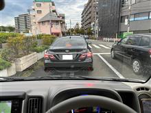 新ジャガイモの収穫