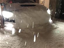 運転してて楽しい