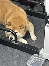 癒し