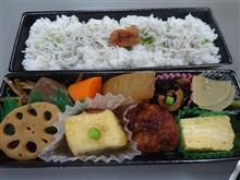 しらすごはん弁当
