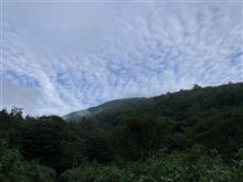 今年25回目の登山と栗♫
