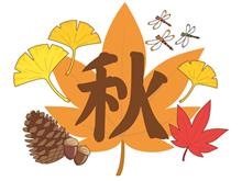 2024年 9月はこんな感じでした!!