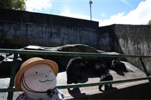 奥飛騨から帰ります