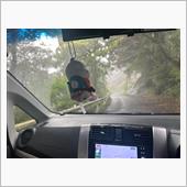 雨だっけ？