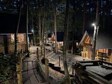 富良野の夜を楽しむ