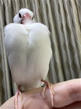 マッチョ？🤣