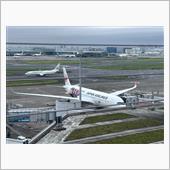 姫が修学旅行に行ったよ