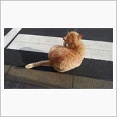 萎えるわぁ～