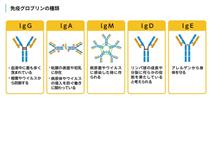 みんカラとの1年 みんカラとの1年