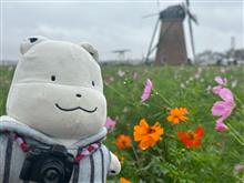 いろいろ忙しい日