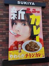 新カレーにちょいガッカリ