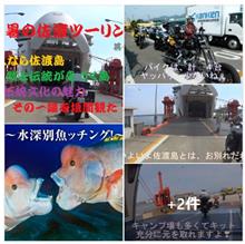 兎に角、『佐渡』は、絶景 と 美味いモン が豊富なんだねぇ　