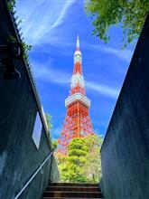 東京散歩/芝公園・秋の東京タワー🗼